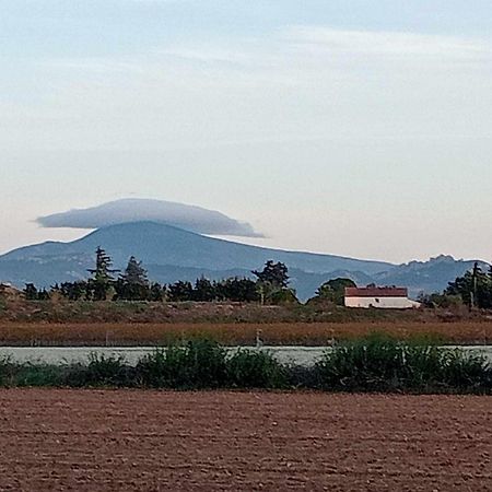 Chambre D'Hotes Les Garrigues Пьолан Экстерьер фото